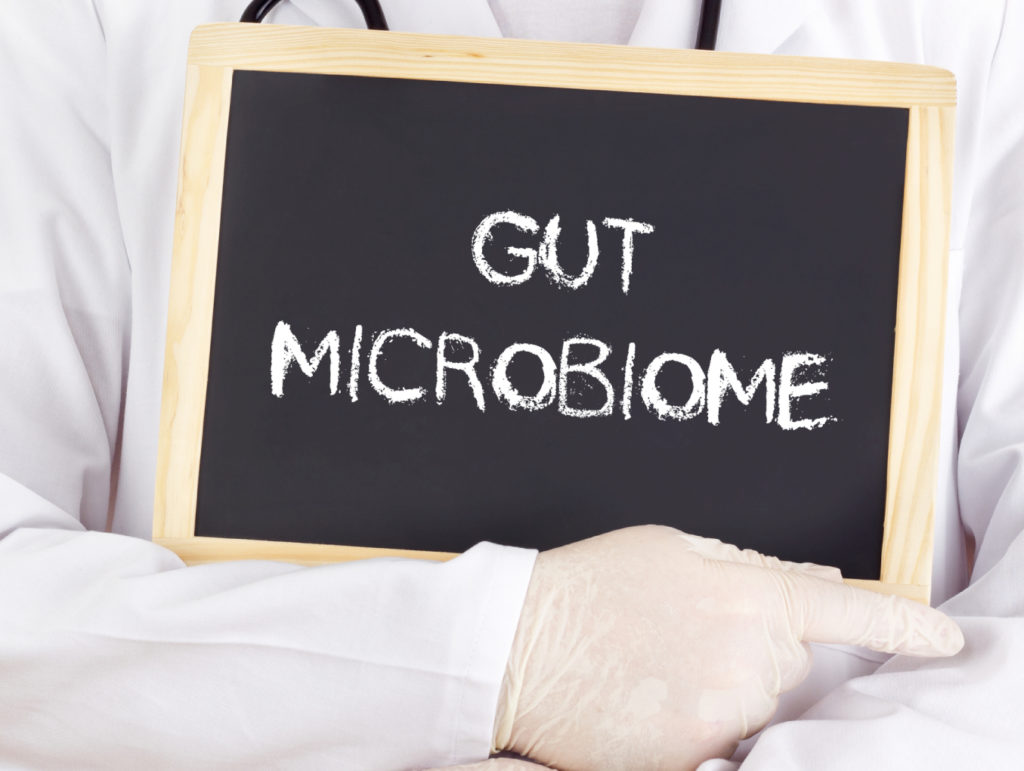 gut microbiome