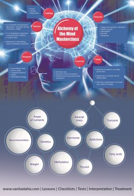 Alchemy of the Mind Infographic