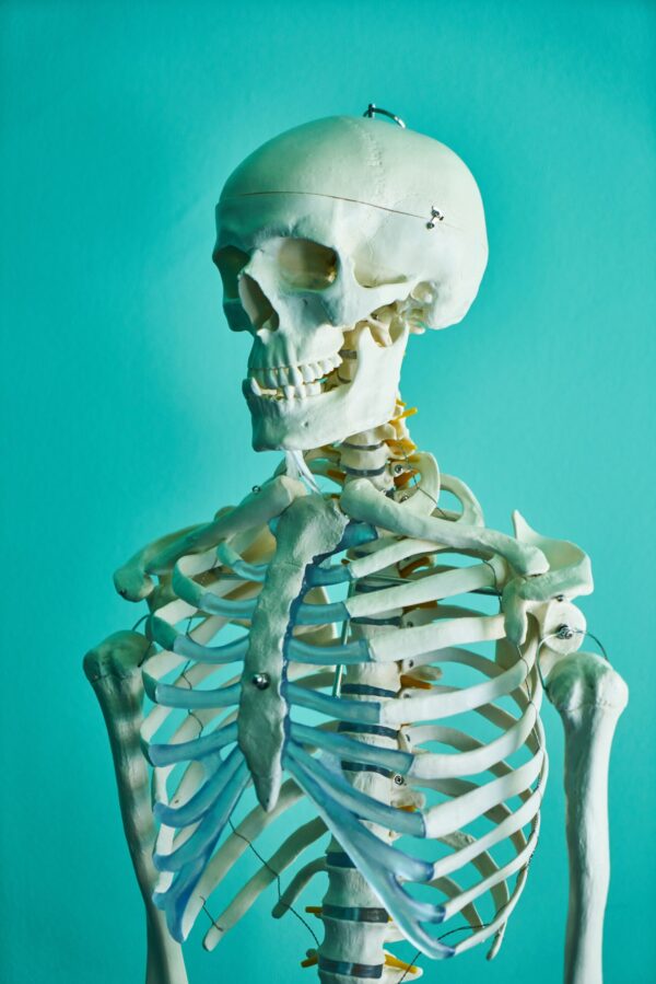 Dem Bones, them Bones, them healthy Bones