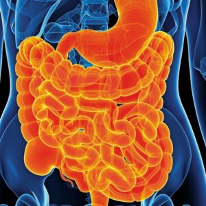 THE IMPACT OF SIBO ON GUT DISORDERS